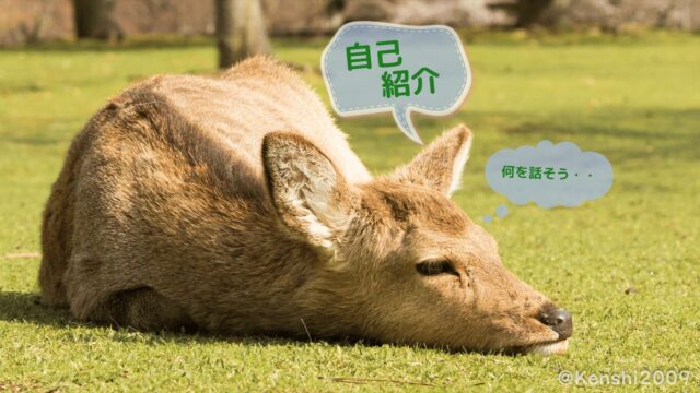 自己紹介 (2021年～)